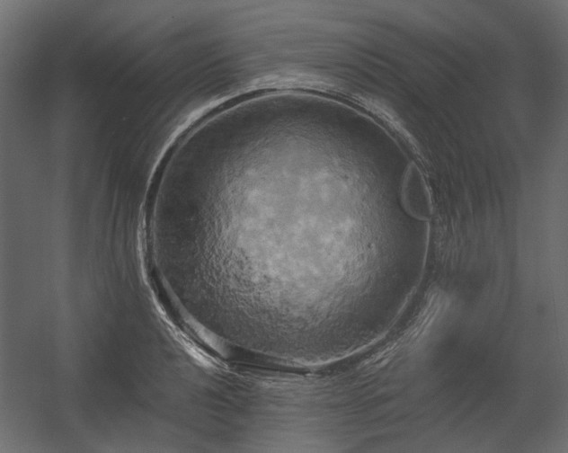 X0000058801040200510031315