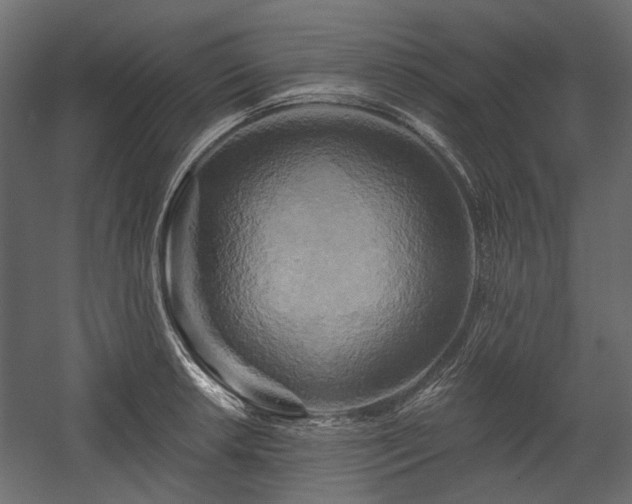 X0000058801042200510031315