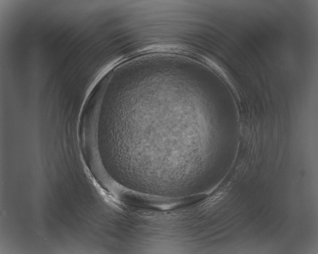 X0000058801050200510031315