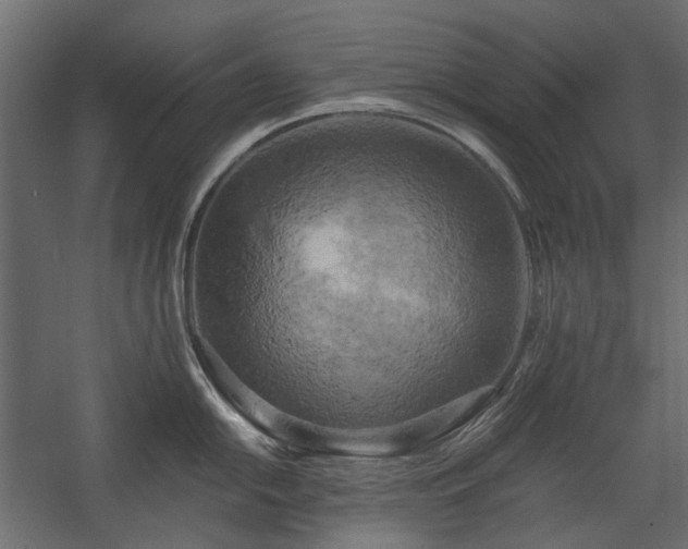 X0000058801054200510031315