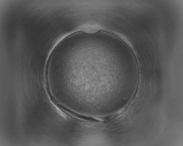 X0000058801056200510031315