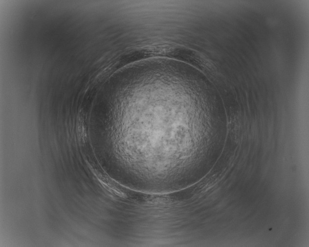 X0000058801058200510031314