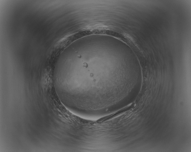 X0000058801063200510031314