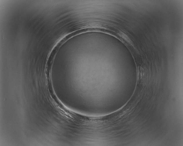 X0000058801068200510031314