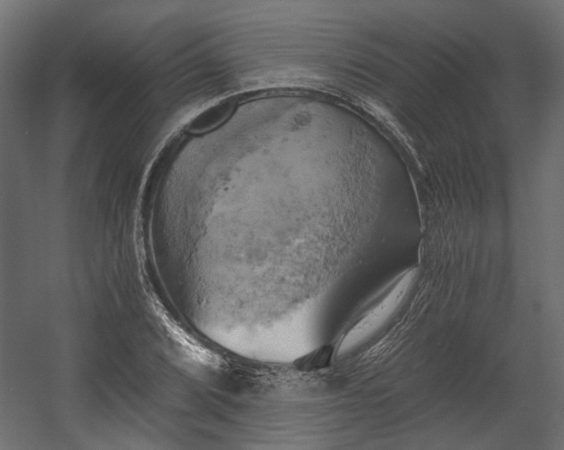 X0000058801072200510031314
