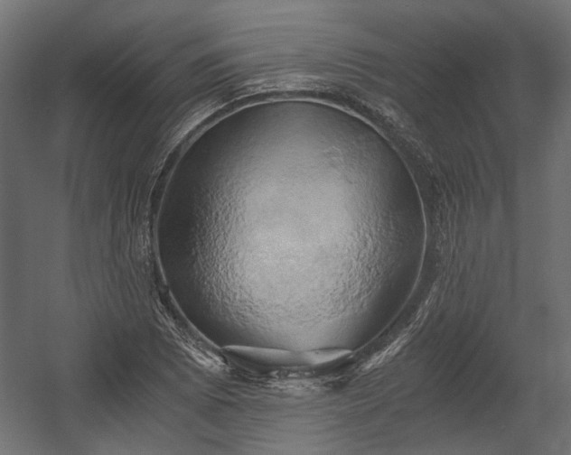 X0000058801073200510031314