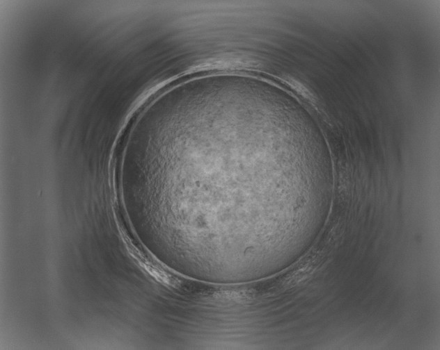 X0000058801078200510031314