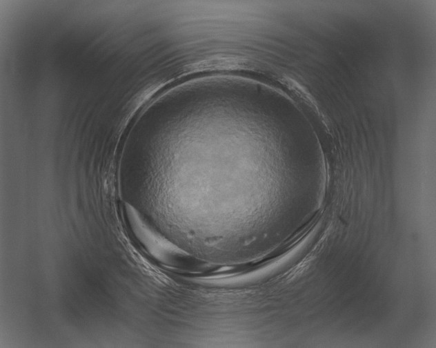 X0000058801081200510031314