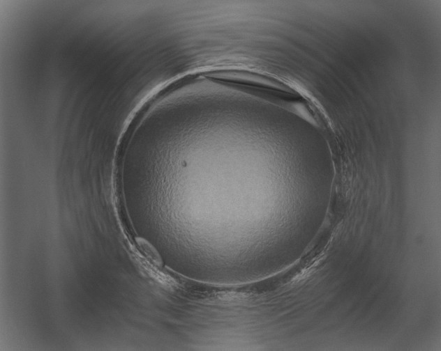 X0000058801085200510031314