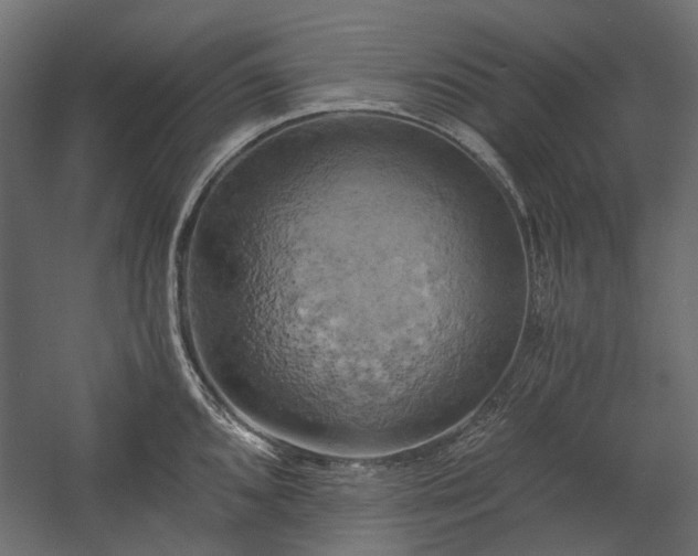 X0000058801096200510031313