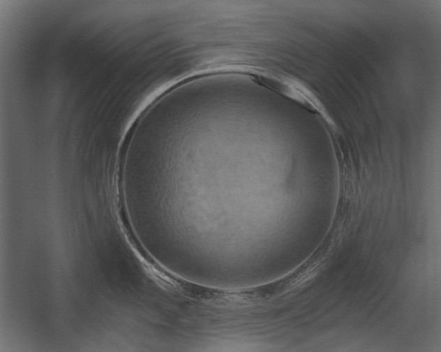 X0000058801101200510031313