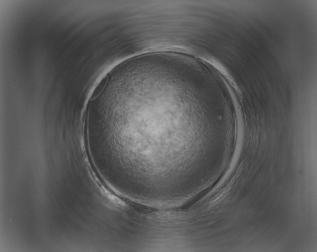 X0000058801102200510031313