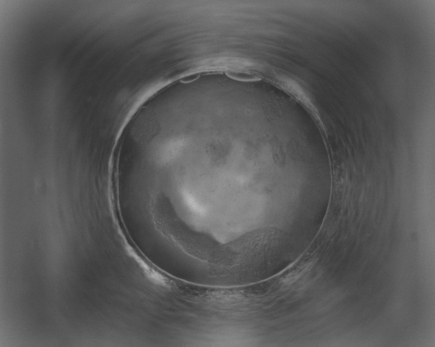 X0000058801103200510031313