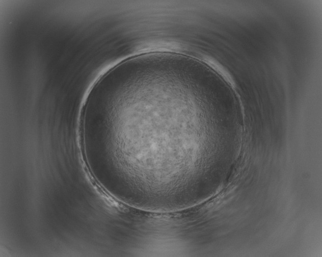 X0000058801104200510031313