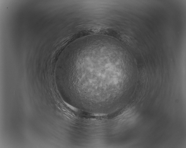 X0000058801105200510031312