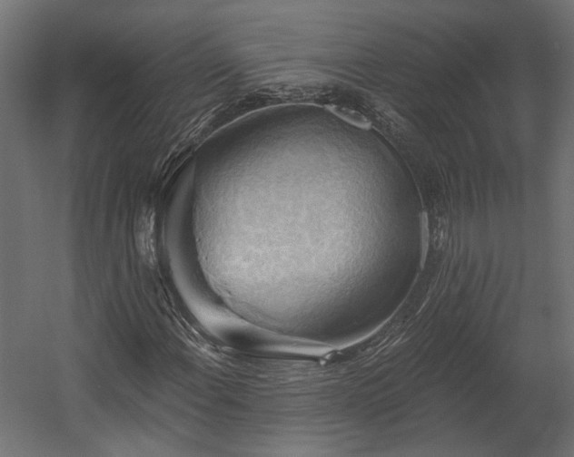 X0000058801108200510031312