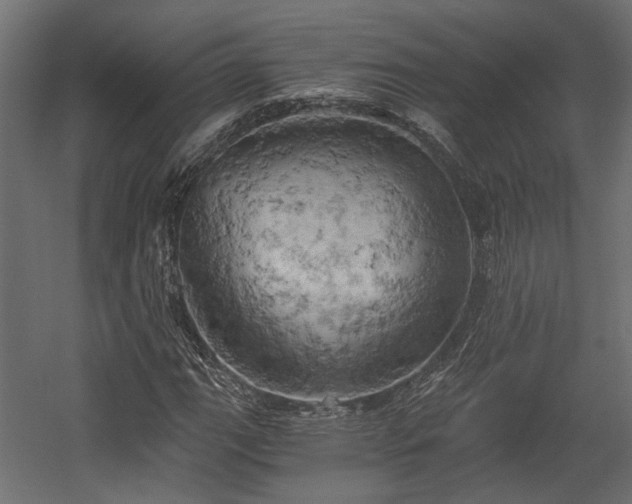 X0000058801111200510031312