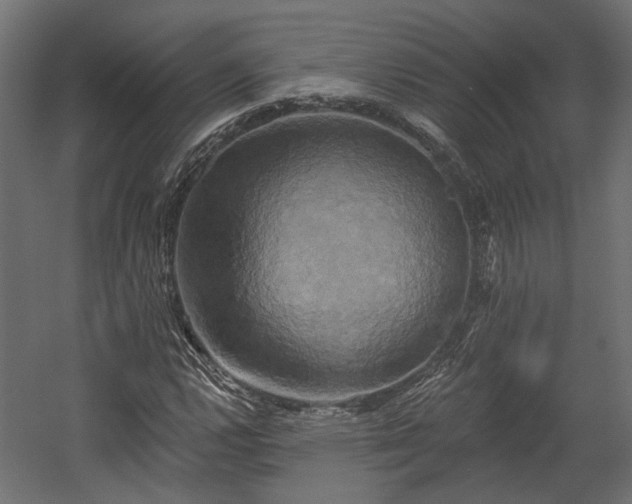 X0000058801112200510031312