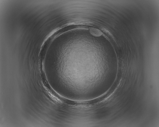 X0000058801114200510031312