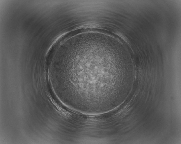 X0000058801115200510031313