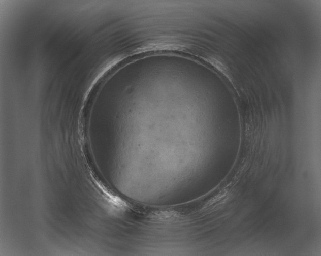 X0000058801119200510031313