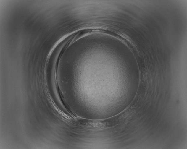 X0000058801120200510031313