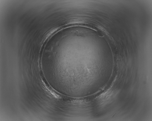 X0000058801121200510031313