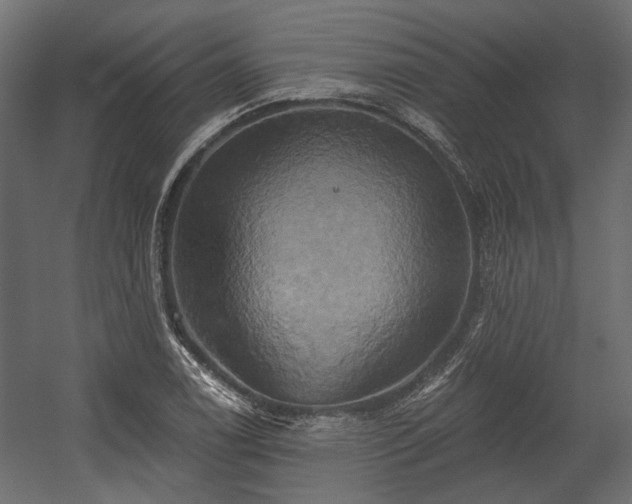X0000058801122200510031313