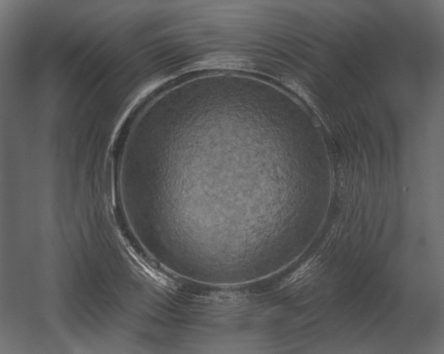 X0000058801123200510031313