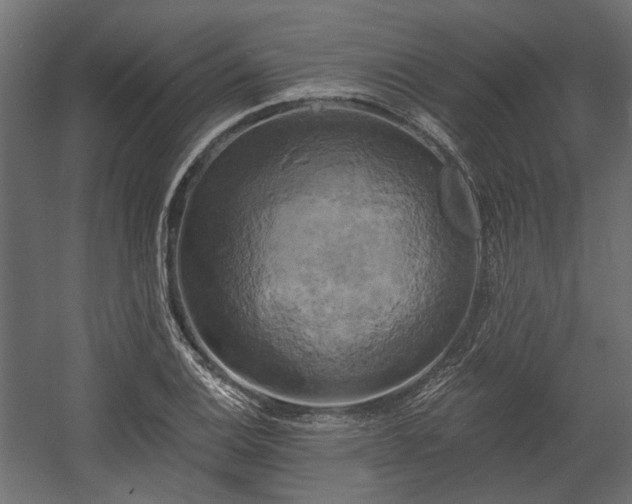 X0000058801124200510031313