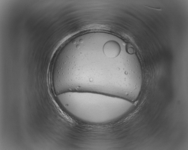 X0000058801125200510031313