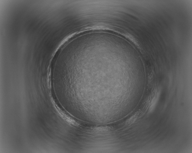 X0000058801126200510031313
