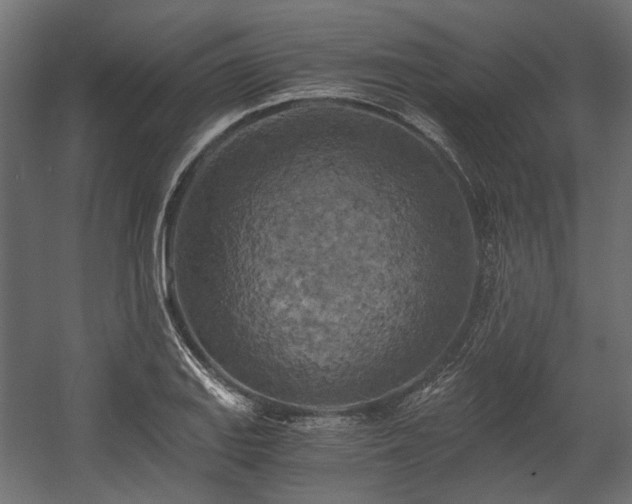 X0000058801127200510031313