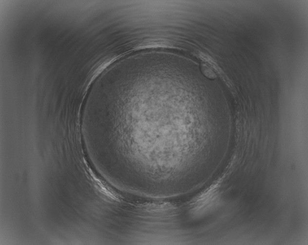 X0000058801129200510031313