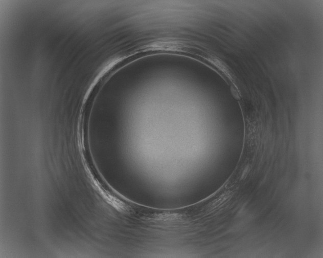 X0000058801131200510031313