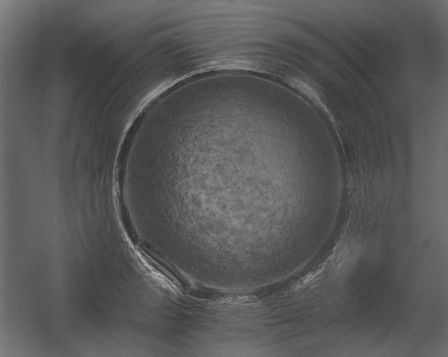 X0000058801133200510031313