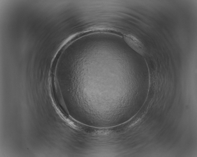 X0000058801134200510031313