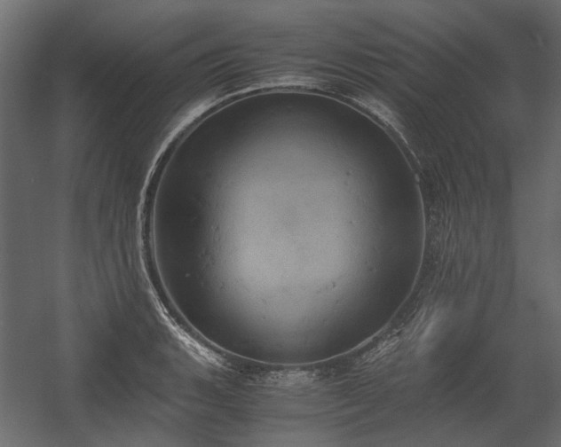 X0000058801135200510031313