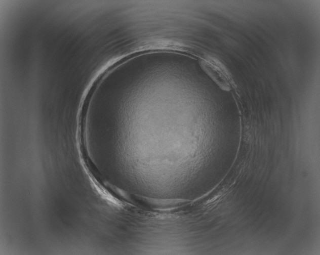 X0000058801136200510031313