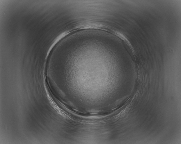 X0000058801138200510031313