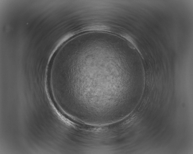 X0000058801139200510031313