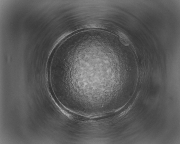 X0000058801141200510031313