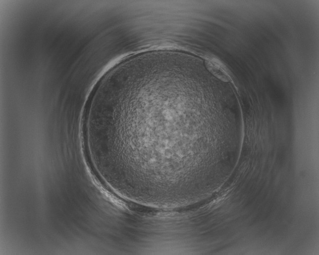 X0000058801142200510031313