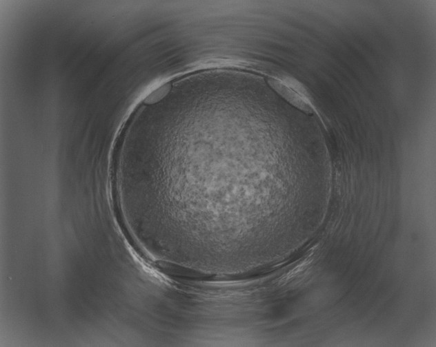 X0000058801143200510031313