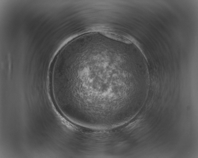X0000058801147200510031313