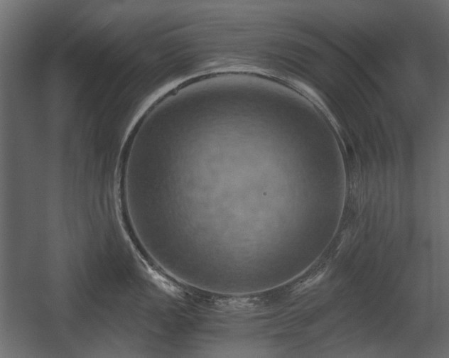 X0000058801149200510031313