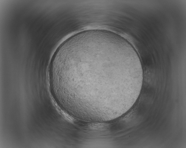 X0000058801150200510031313