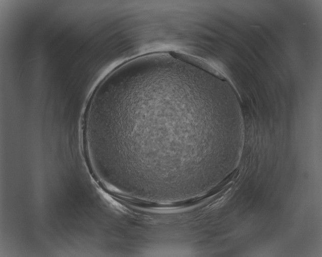 X0000058801151200510031313