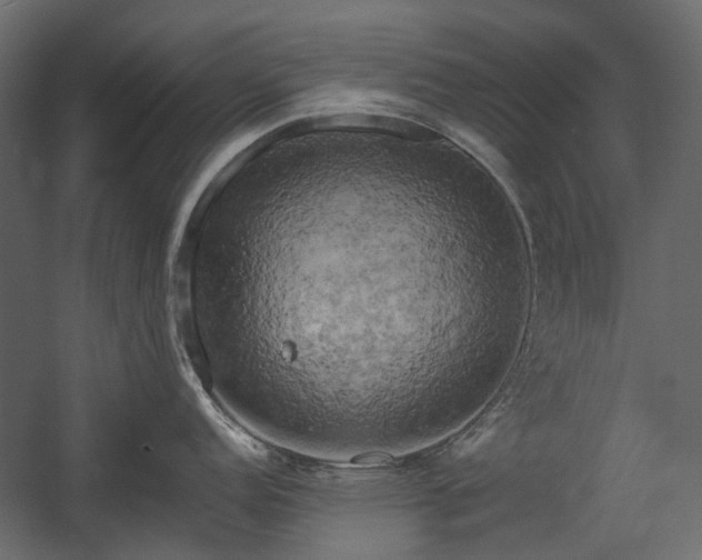 X0000058801152200510031313