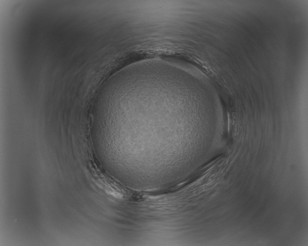 X0000058801153200510031312